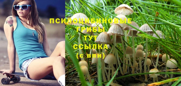 спиды Абаза