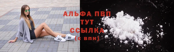 спиды Абаза